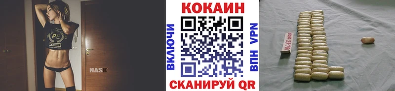 где можно купить наркотик  Пустошка  COCAIN Fish Scale 