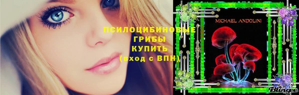 ГАЛЛЮЦИНОГЕННЫЕ ГРИБЫ Алексин