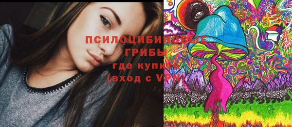 ГАЛЛЮЦИНОГЕННЫЕ ГРИБЫ Алексин